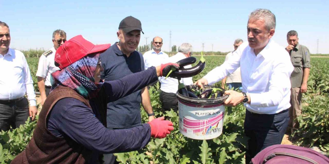 Karaman’da Sebze Üretimi Artıyor