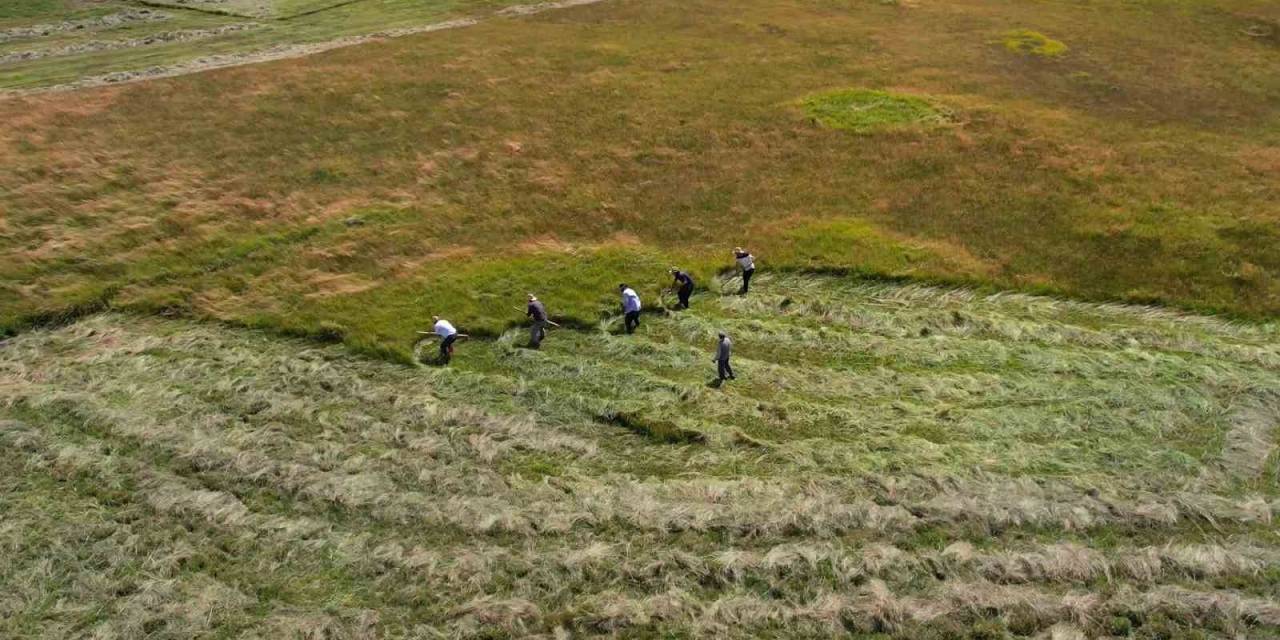 Tırpan İle Ot Biçme Havadan Görüntülendi