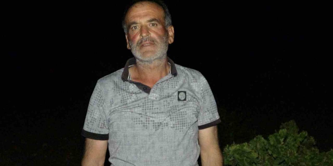 Üzüm Bağları İçin Eller Tetikte Nöbet Tutuyorlar