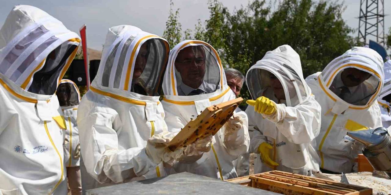 Konya’da Arılı Kovan Desteği Projesi’nde İlk Hasat Yapıldı