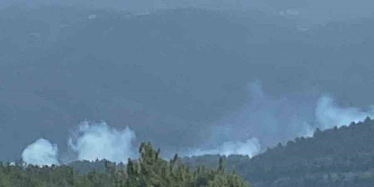 Ormanda Yükselen Dumanlar Ekipleri Harekete Geçirdi