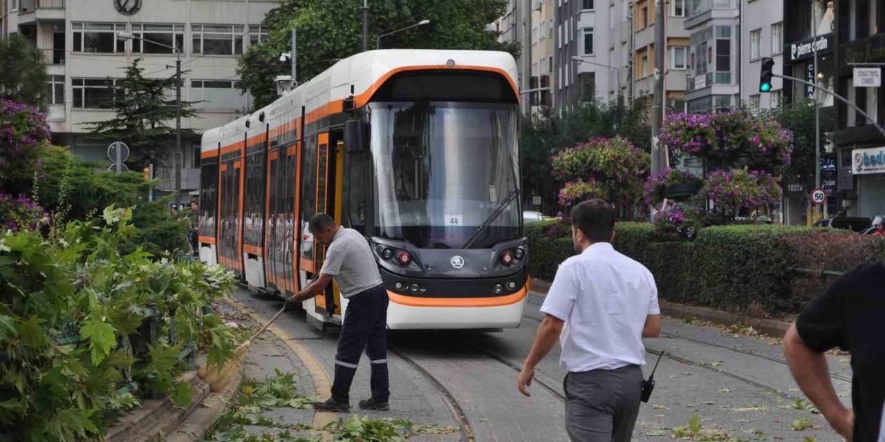 Eskişehir’de Rüzgarda Kırılan Dal Tramvay Seferlerini Aksattı