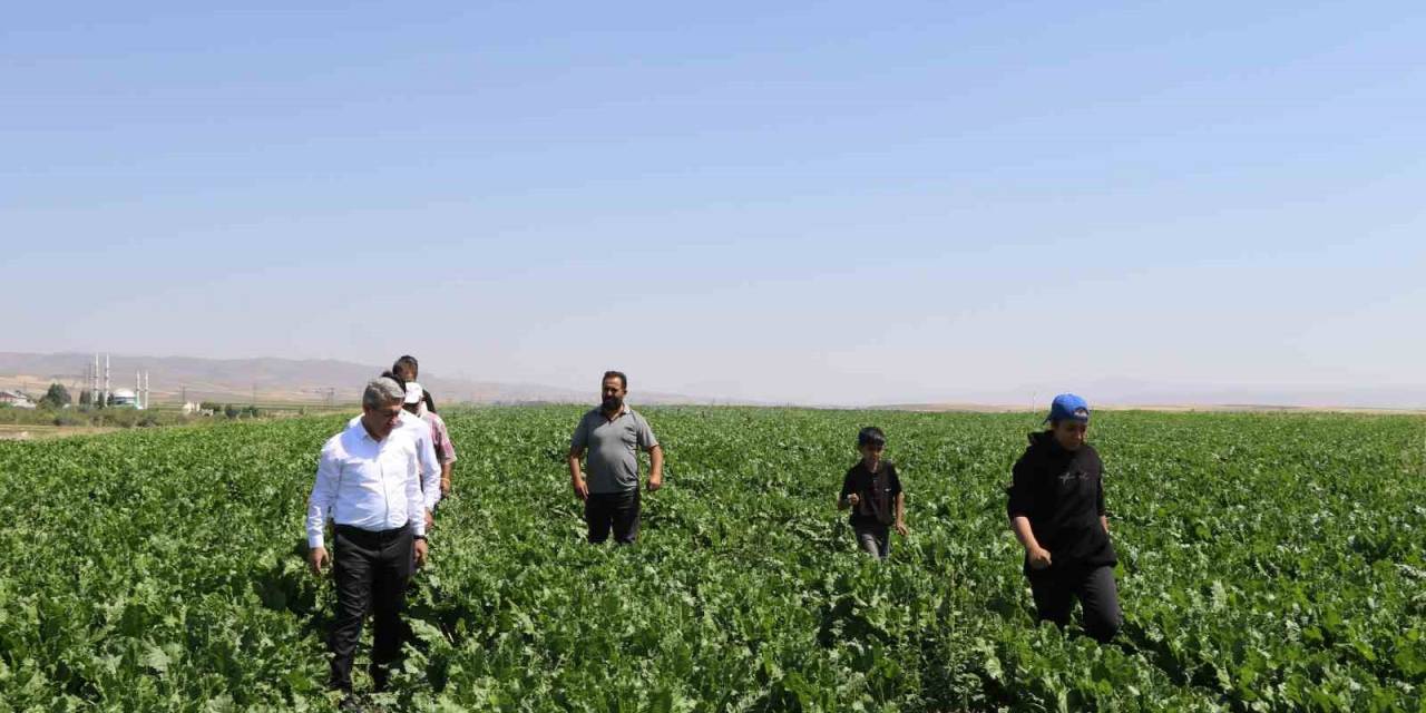 Ağrı’da Tarım Ve Orman Müdürü Engin’in Çiftçi Ve Veteriner Hekim Ziyaretleri
