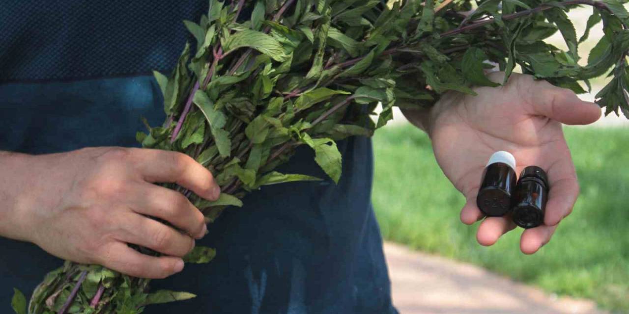 Bu Yağın Litresi 35 Bin Tl