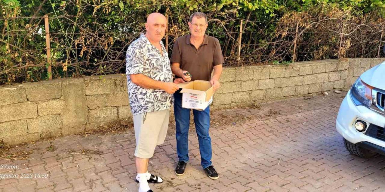 Yaralı Halde Bulunan Yalıçapkını Ve Karga Koruma Altına Alındı