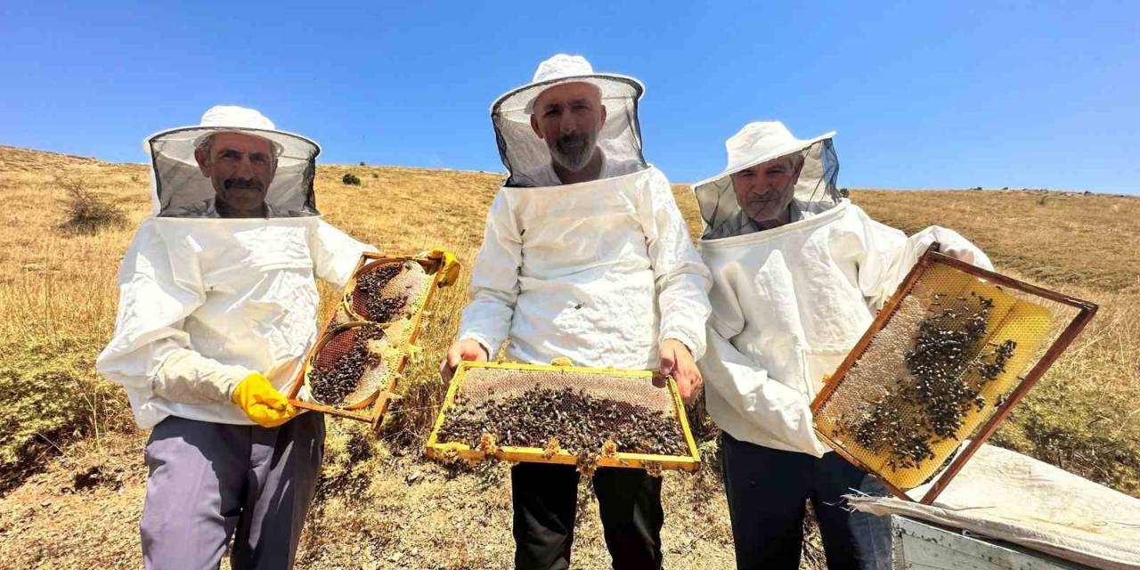 İklim Değişikliği Ve Sıcaklık Son 3 Yılda Bal Rekoltesini Yüzde 100 Düşürdü