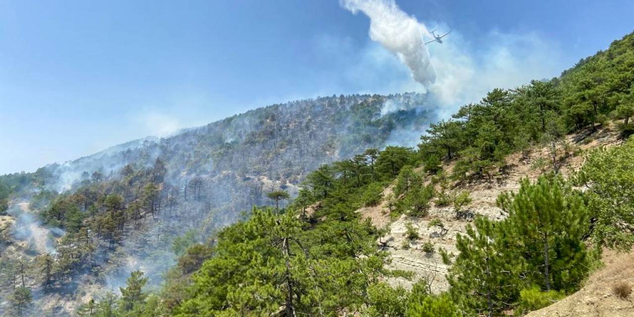 Bolu’daki Orman Yangına Müdahale Sürüyor