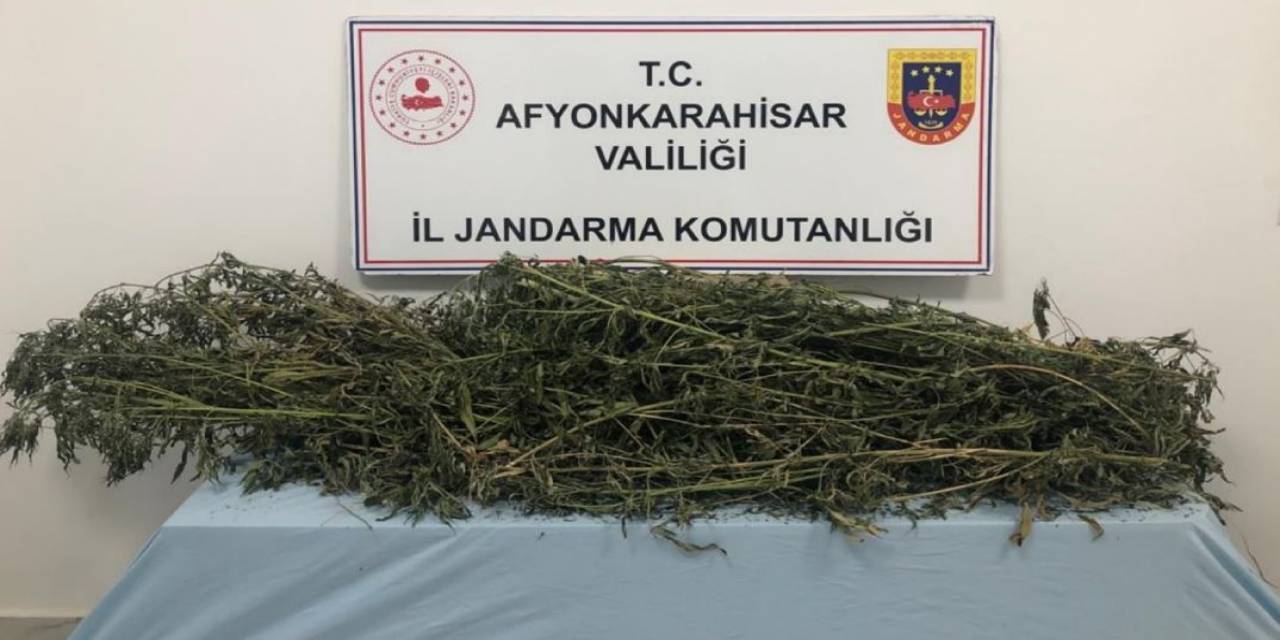 Afyonkarahisar’da Esrar Yakalandı