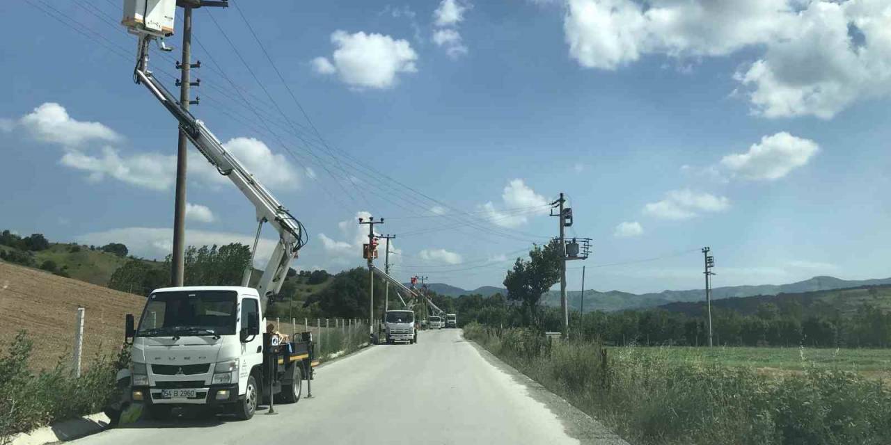 Elektrik Direklerine Konan Leyleklerin Akıma Kapılmaması İçin Seferber Oldular