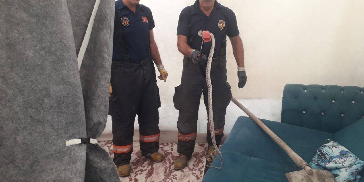 Çadıra Giren 2 Metre Uzunluğundaki Yılan Korkuttu