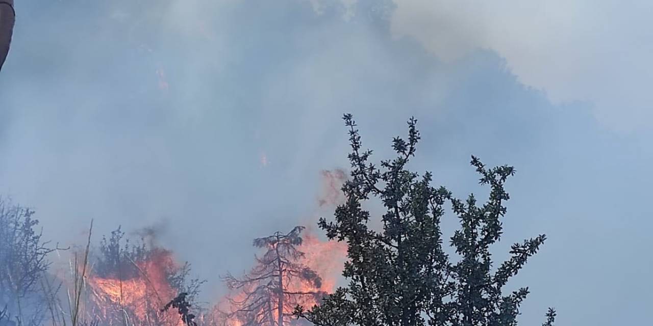 Ankara’da Orman Yangını