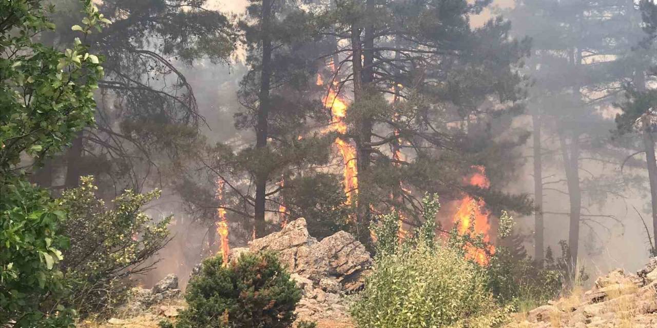 Antalya’da Orman Yangını Devam Ediyor