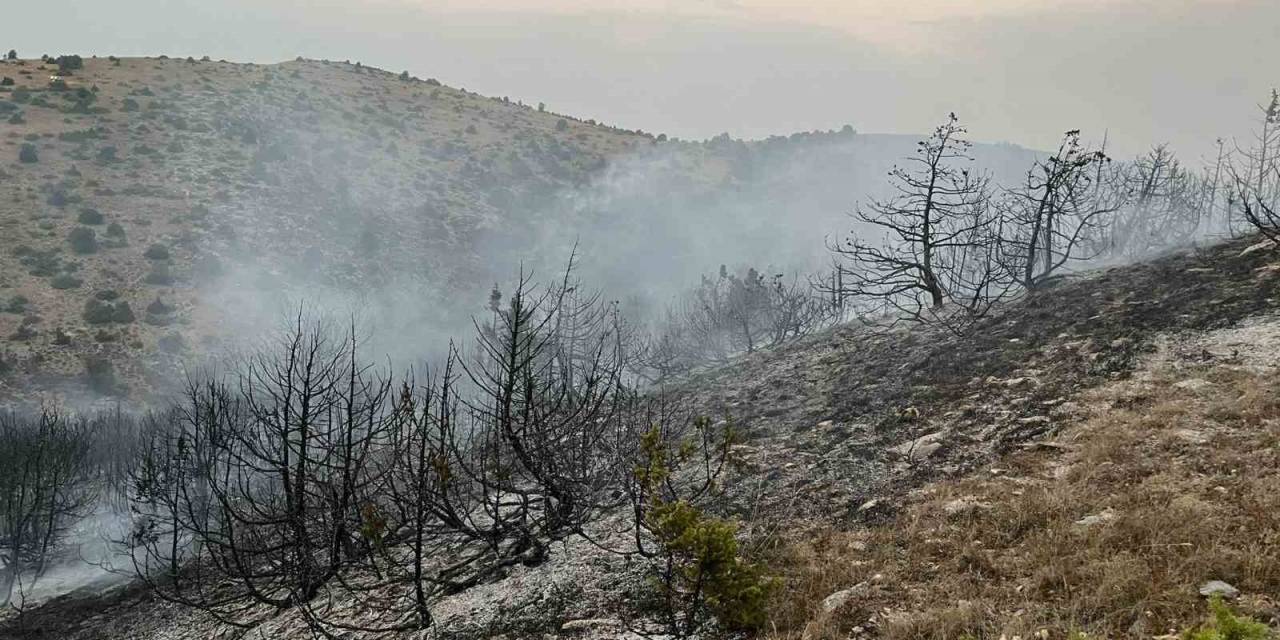 Afyonkarahisar’da Orman Yangını