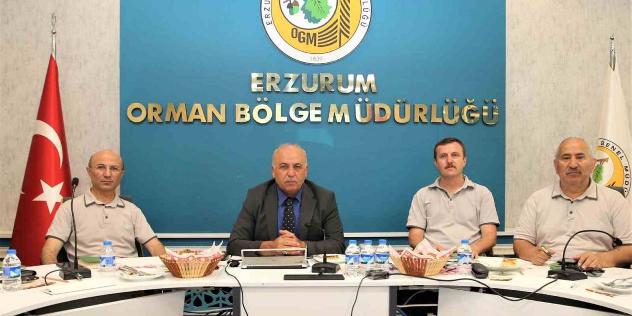 Ormancılık Faaliyetleri Masaya Yatırıldı