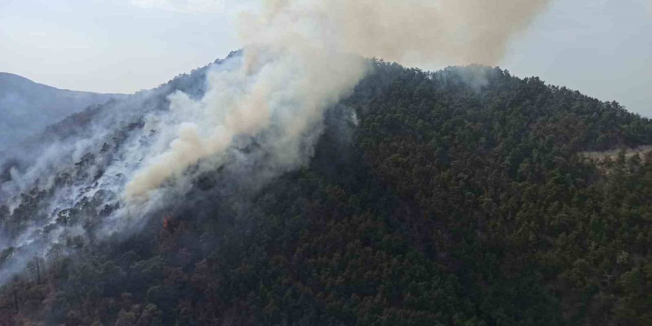 Bolu’da Aynı İlçede 2 Farklı Orman Yangını