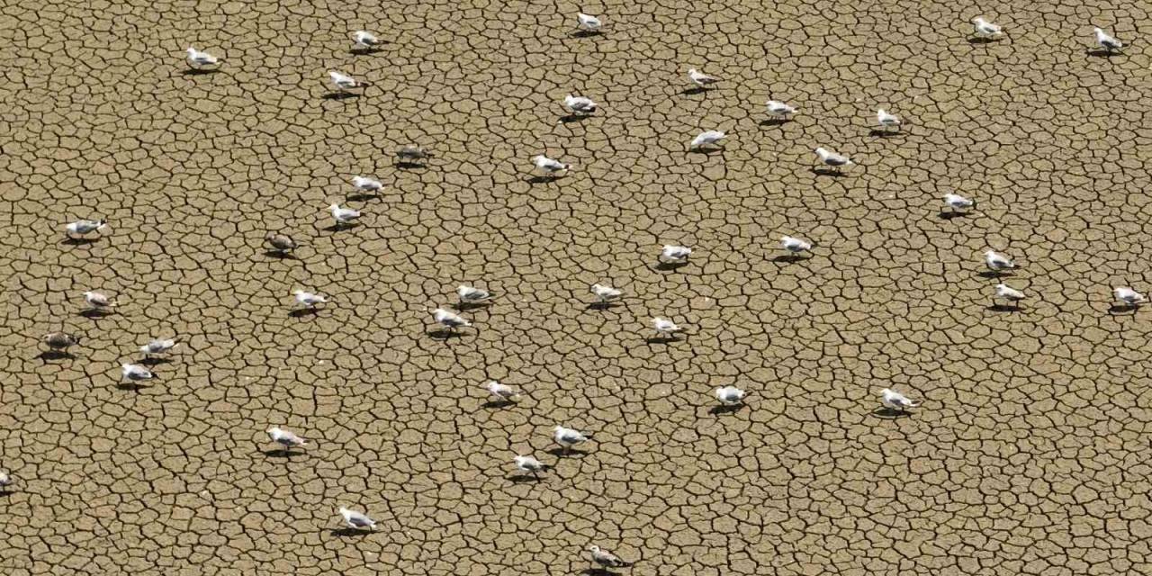 Mega Kentte Bulunan Barajlarda 61 Günlük Su Kaldı