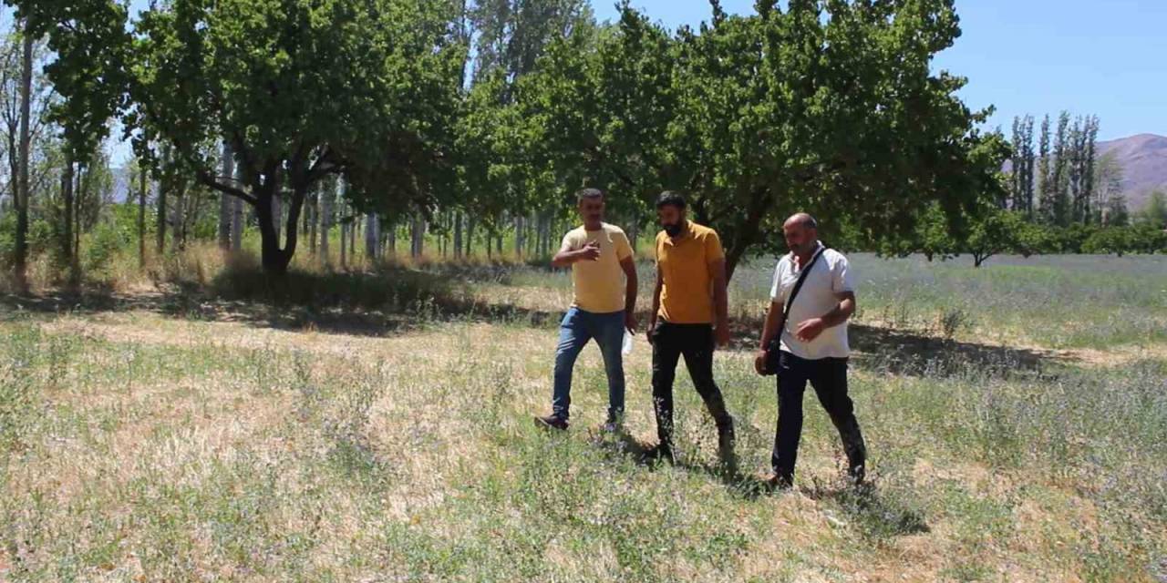 Iğdır’da Çiftçilerin ’sulama Sıkıntısı’ Talepleri