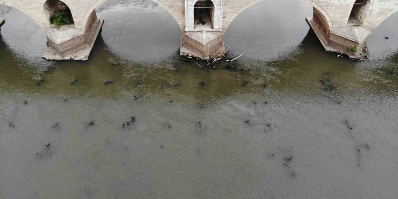 Meriç Nehri’ni Kuraklık Vurdu: Tarihi Ahşap Köprünün Ayakları Gün Yüzüne Çıktı