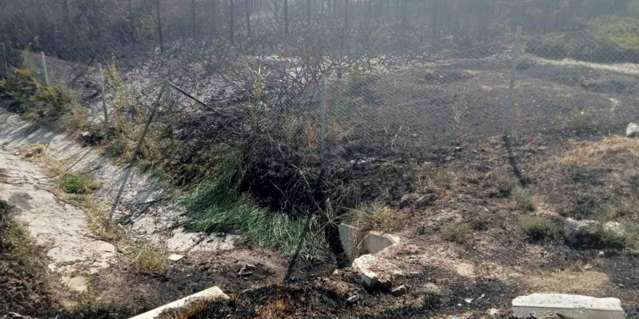 Ankara’da Yanan Ormanlık Alan Küle Döndü