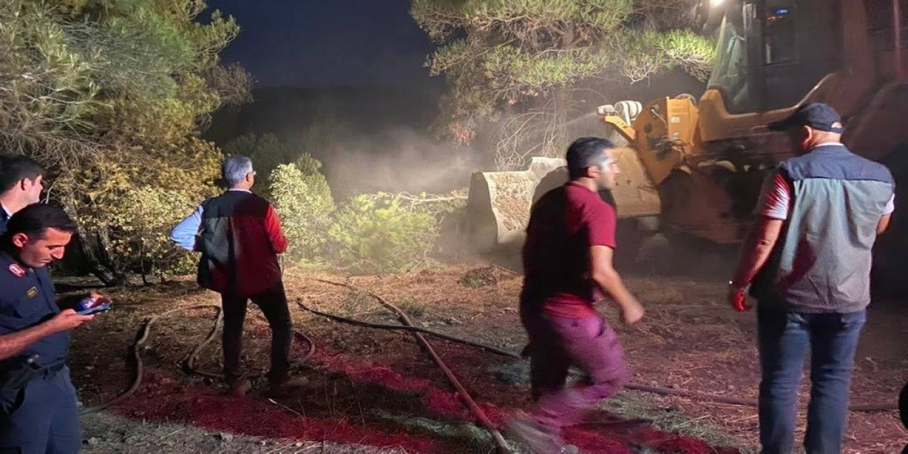 Bolu’daki Orman Yangını Kontrol Altına Alındı