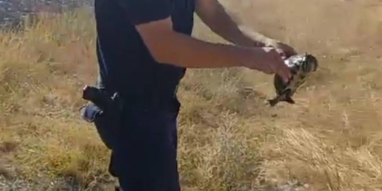 Jandarmanın Hayvan Sevgisi Görenlerin İçini Isıttı