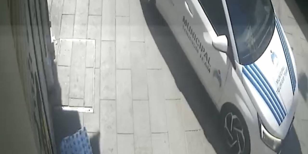 Beyoğlu’nda İbb Aracının Ezdiği Kedi Öldü: Esnaf Kediyi Defnetti