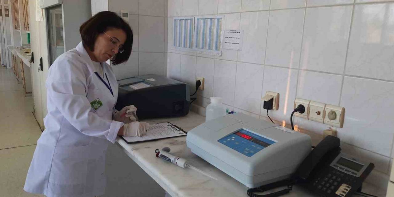 Su Tüketim Miktarı Geçen Seneye Göre 25 Bin Ton Arttı