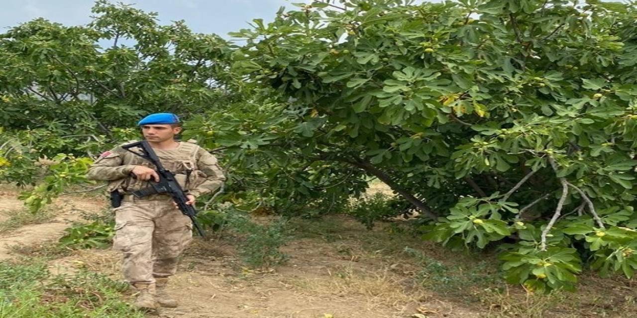 Aydın’da Jandarma İncir Nöbetine Başladı