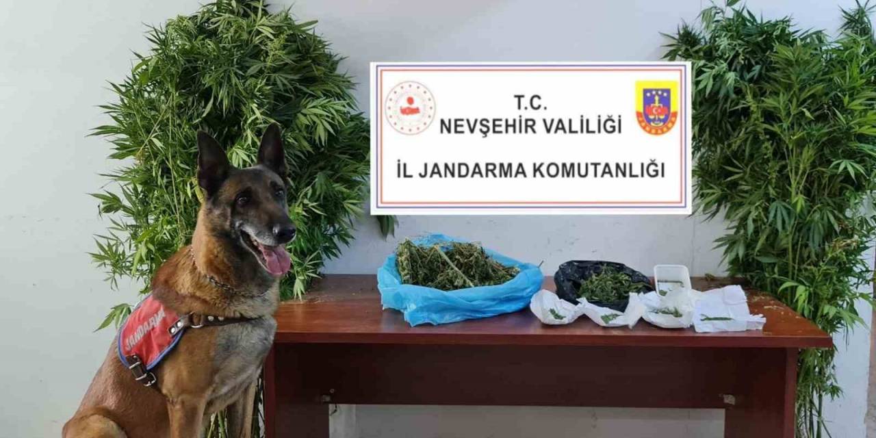 Jandarmadan Uyuşturucu Tacirlerine Geçit Yok