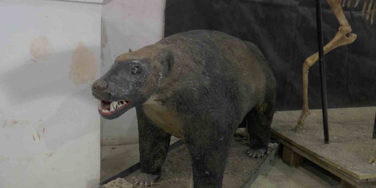 7,5 Milyon Yıl Sonra Ayaktalar