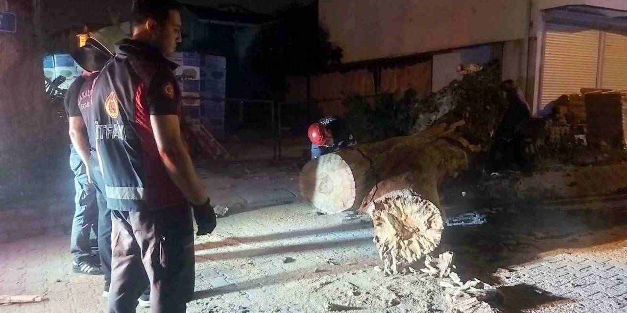 Asırlık Çınar Ağacı Park Halindeki Aracın Üzerine Devrildi