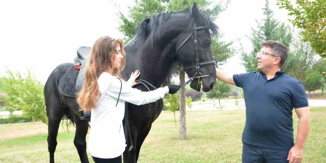 Cins Atlar Embriyo Transferi İçin Balıkesir’de
