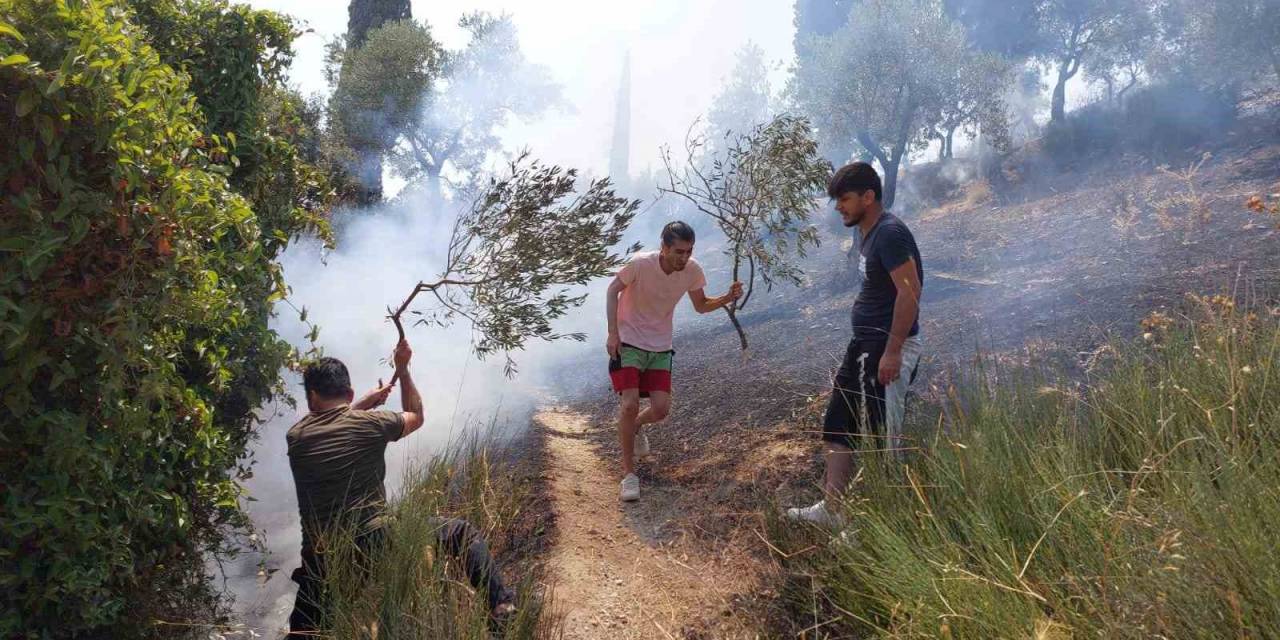 Söke’deki Yangın Kısmen Kontrol Altına Alındı