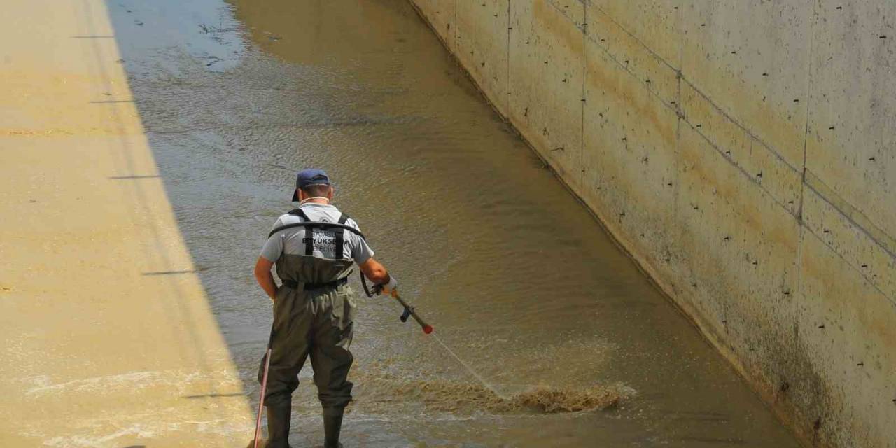 Samsun’da Vektörlerle Mücadele