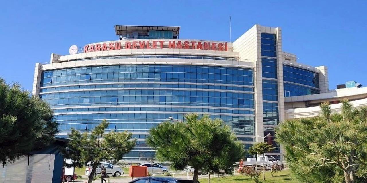 Anne Kedi Yavrusunu İlk Kontrol İçin Acil Servise Getirdi