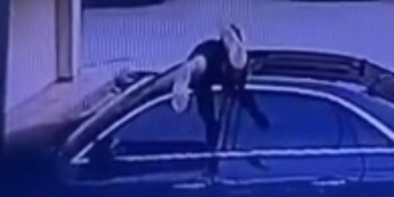 Örümcek Adam Gibi Oto Faresi...sunroof’tan Girip Çaldı
