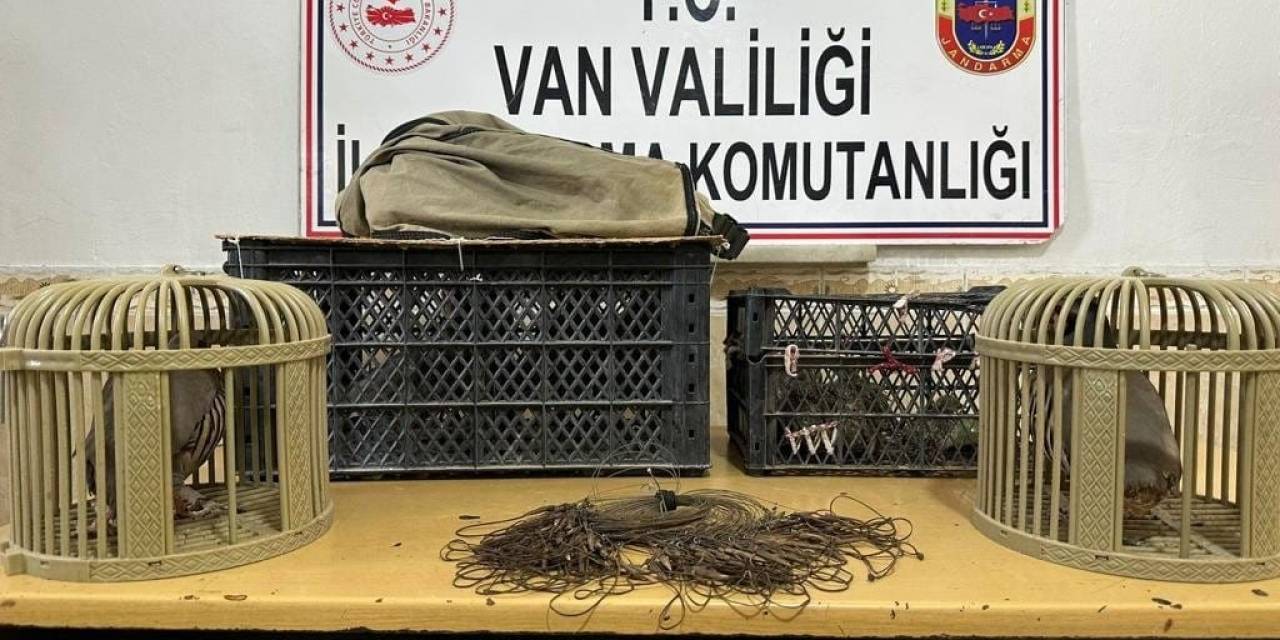 Van’da Kafes Avcılığı