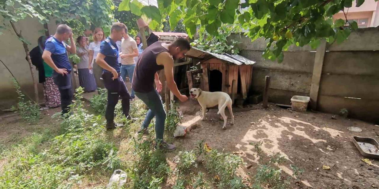 Bakılması Yasak Hayvanlara El Konuldu