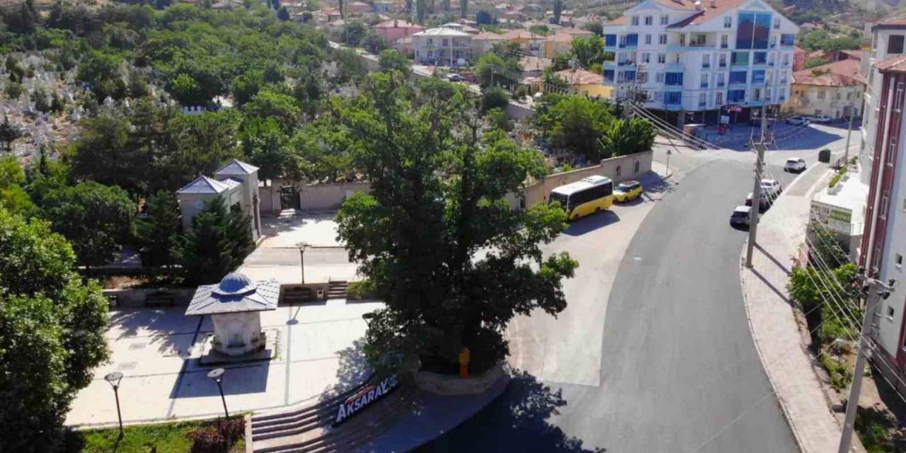 Aksaray’daki 700 Yıllık ‘Kanlı Pelit’ Kanlı Moğol Baskınının Tek Canlı Şahidi