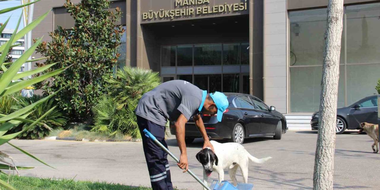 Manisa’da Yürek Isıtan Görüntü