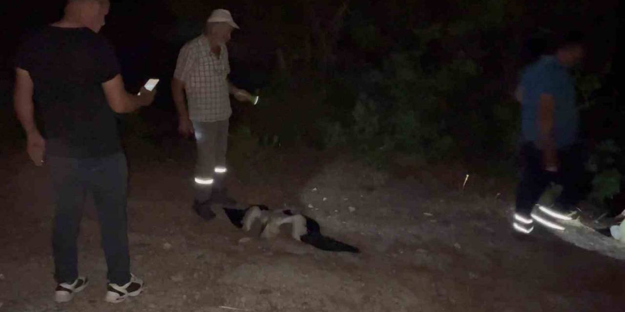 Leylekler İçin Köylerde Elektrikler Kesildi
