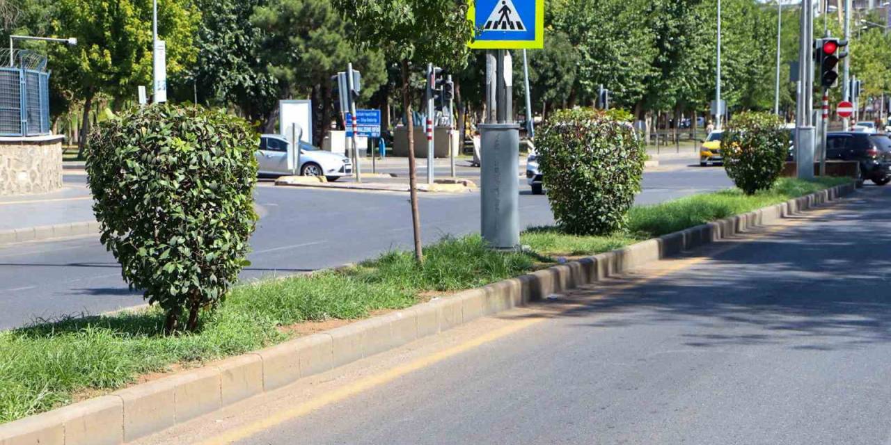 Su Tasarrufu İçin Kuru Peyzaj Çalışmaları Başladı