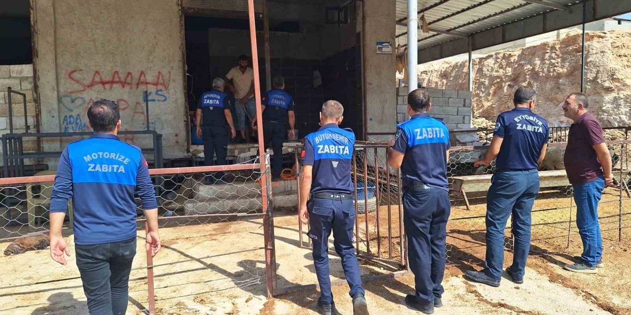 Şanlıurfa Zabıtadan Kaçak Kesim Uyarısı