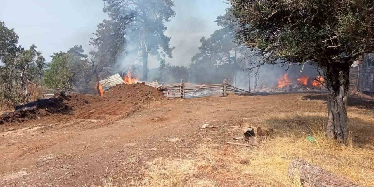 Bursa’da Ağıl Yangını