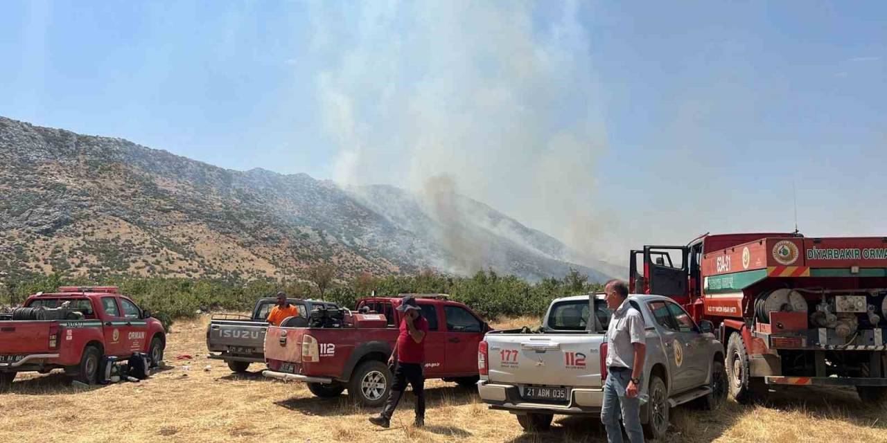 Diyarbakır’da Orman Yangını: Havadan Ve Karadan Müdahale Sürüyor
