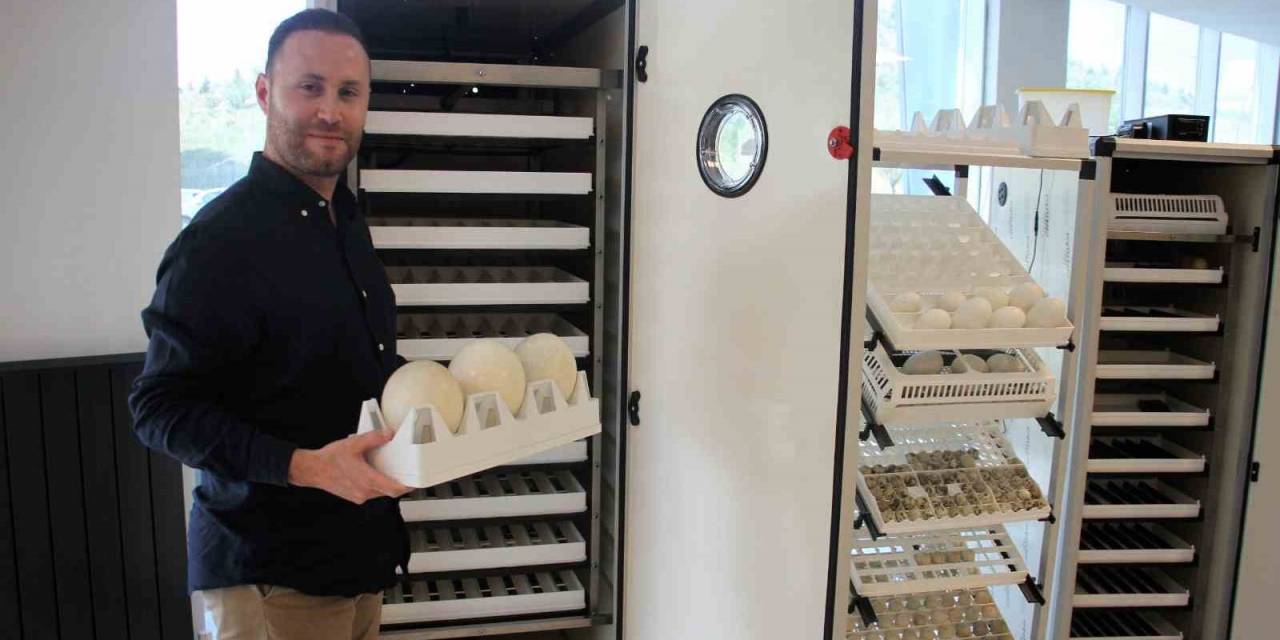 Abd’de 4 Yılda 60 Kat Büyüyen Türk Şirketinin Başarısı Gurur Kaynağı Oldu