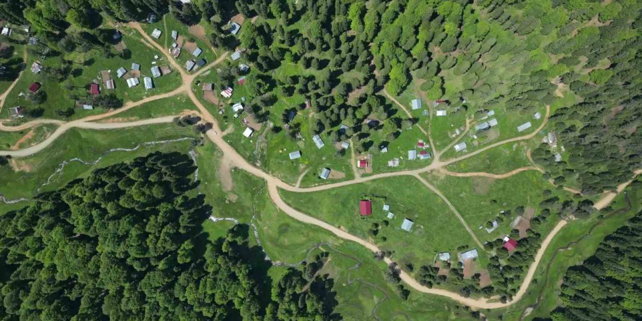 Düzce’nin Serinleten Yaylaları