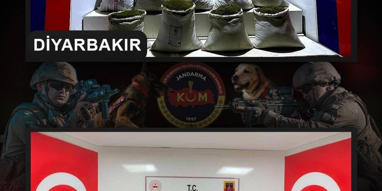 Diyarbakır’da 2 Milyon 425 Bin Kök Kenevir Ve Skunk Bitkisi Ele Geçirildi