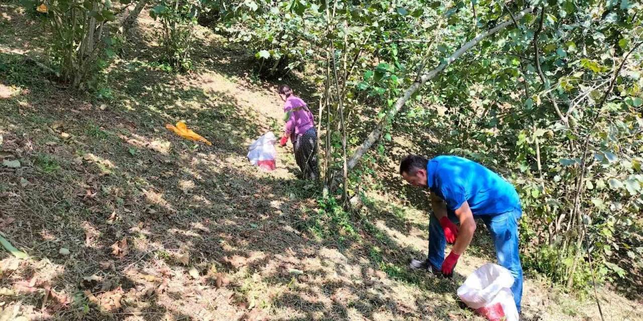 Fındık Üreticilerinin Sıcakla İmtihanı