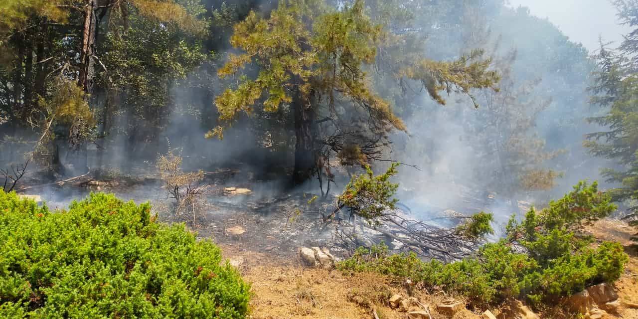 Kahramanmaraş’taki Orman Yangını İki Noktada Devam Ediyor